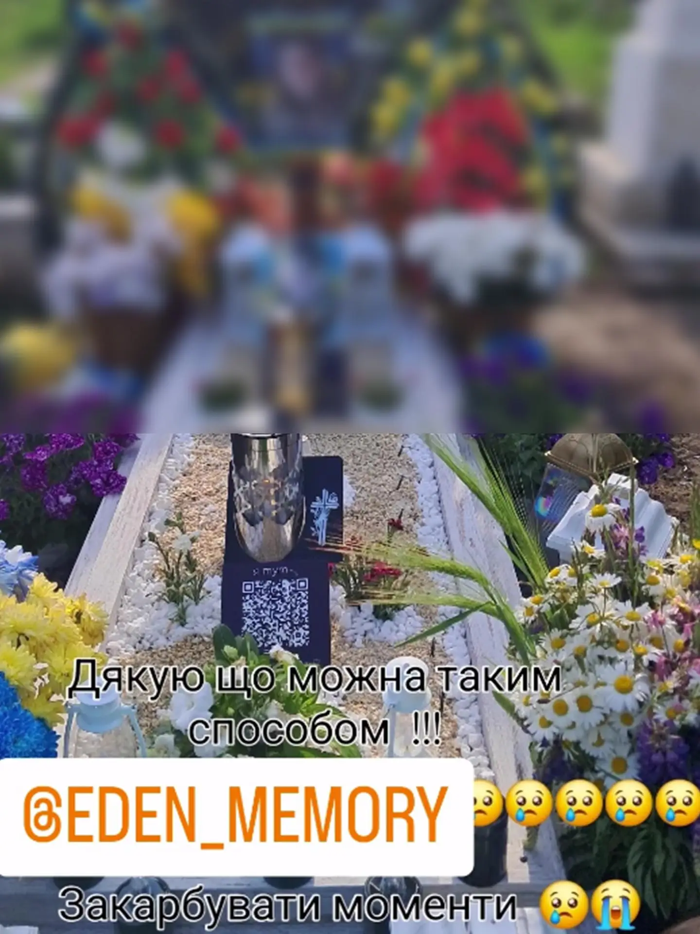 Review 8